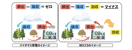 中国電力